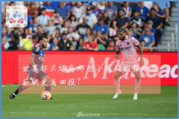 世界杯买球有哪些小窍门能帮助您获取更高回报？